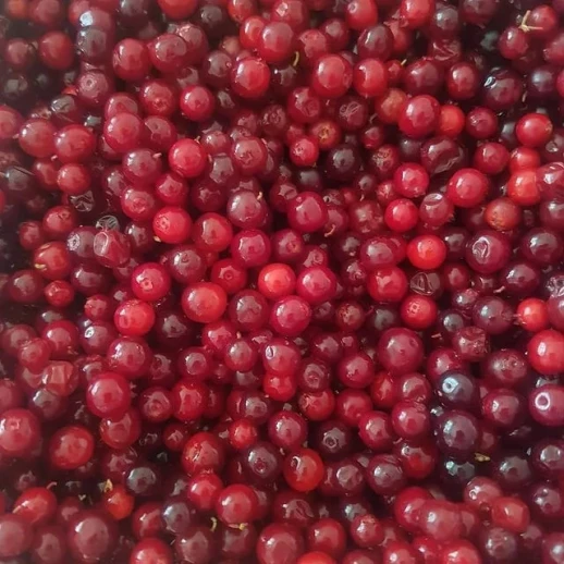 Брусника (упаковка)