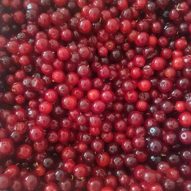 Брусника (упаковка)